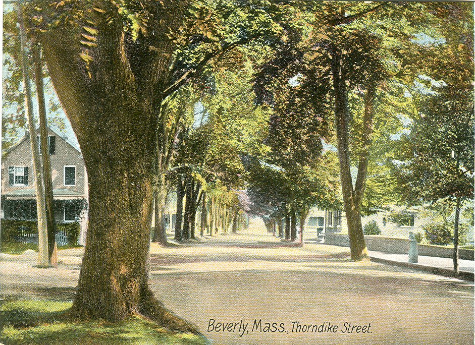 Postcard of Thorndike St.